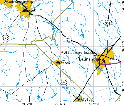 Williamson township, NC map