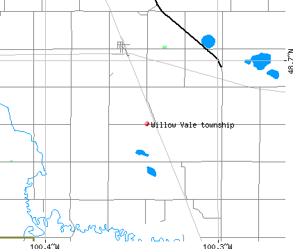 Willow Vale township, ND map