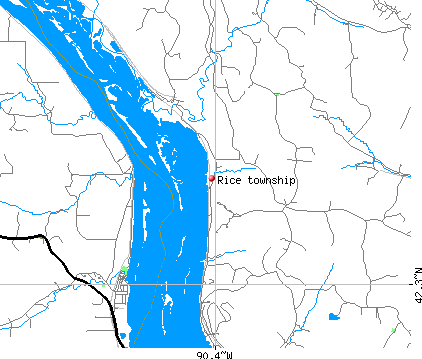 Rice township, IL map