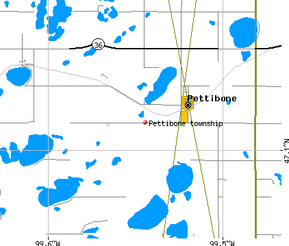 Pettibone township, ND map