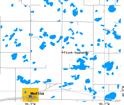 Flint township, ND map