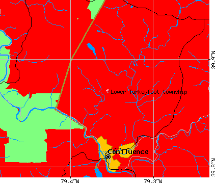 Lower Turkeyfoot township, PA map