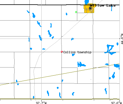 Collins township, SD map