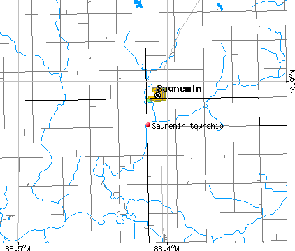 Saunemin township, IL map