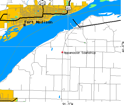 Appanoose township, IL map