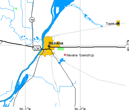 Havana township, IL map
