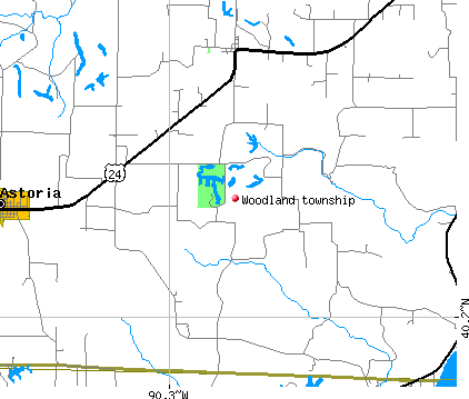Woodland township, IL map