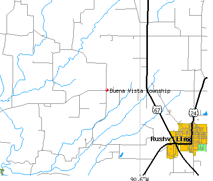 Buena Vista township, IL map