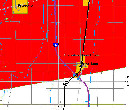 Pesotum township, IL map