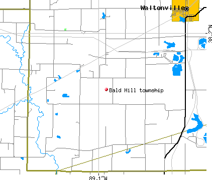 Bald Hill township, IL map