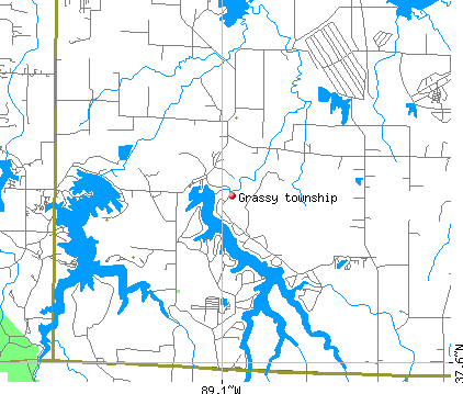 Grassy township, IL map