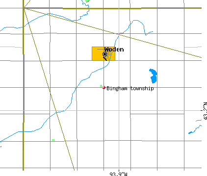 Bingham township, IA map