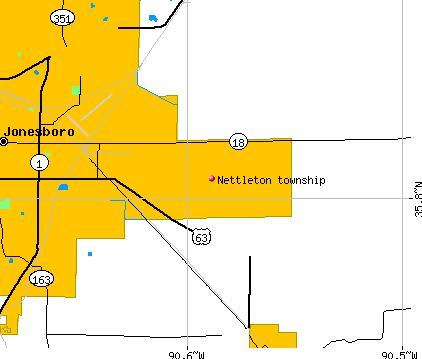Nettleton township, AR map