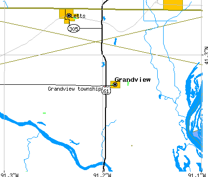 Grandview township, IA map