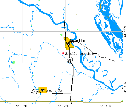 Wapello township, IA map
