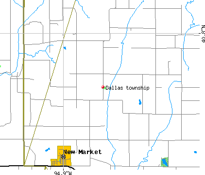 Dallas township, IA map