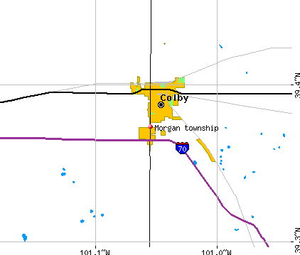 Morgan township, KS map