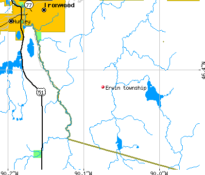 Erwin township, MI map