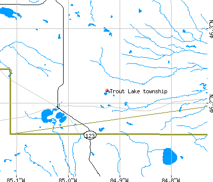 Trout Lake township, MI map