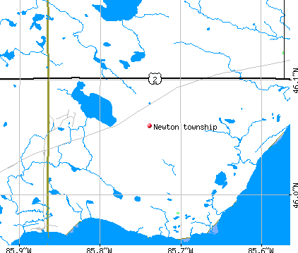 Newton township, MI map