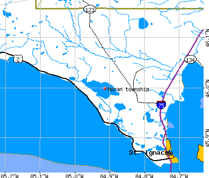 Moran township, MI map