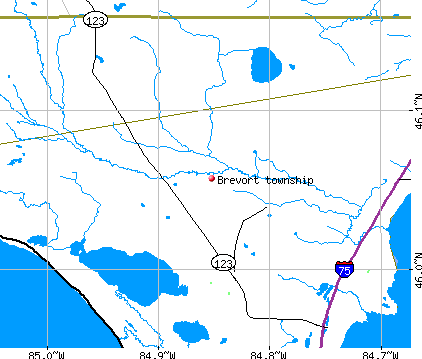 Brevort township, MI map