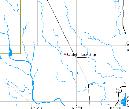 Baldwin township, MI map