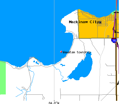 Wawatam township, MI map