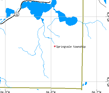 Springvale township, MI map