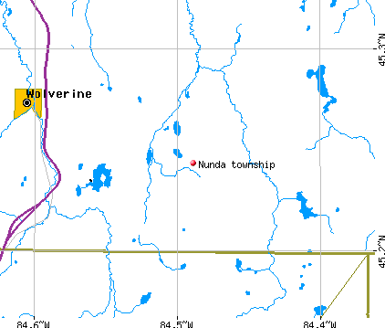 Nunda township, MI map