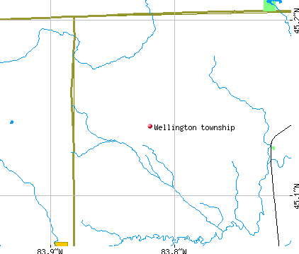 Wellington township, MI map