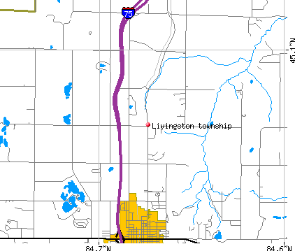 Livingston township, MI map