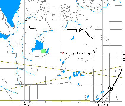Custer township, MI map