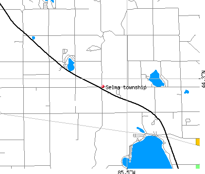 Selma township, MI map