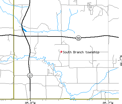 South Branch township, MI map