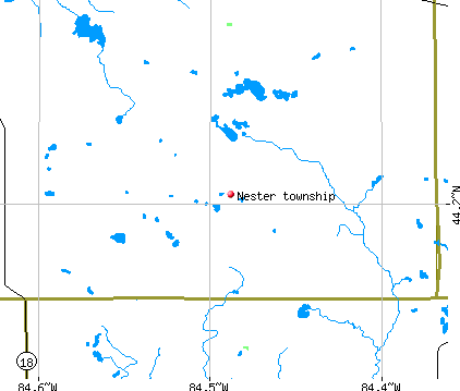 Nester township, MI map