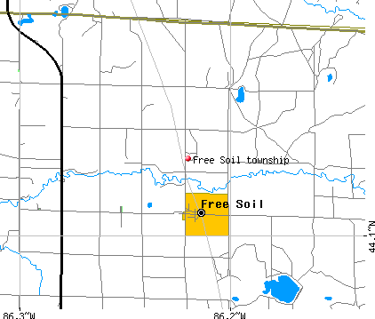 Free Soil township, MI map