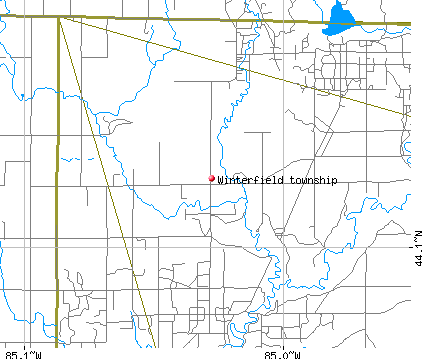 Winterfield township, MI map