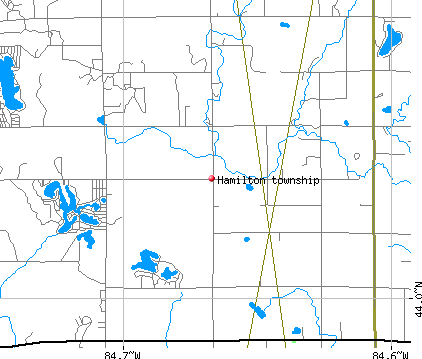 Hamilton township, MI map