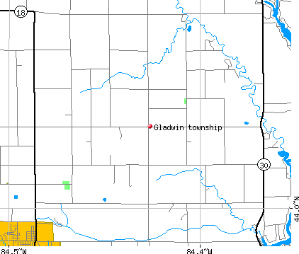 Gladwin township, MI map