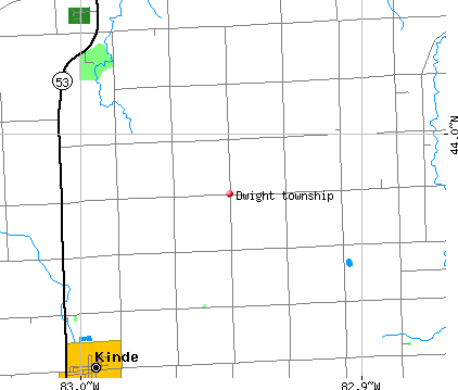 Dwight township, MI map