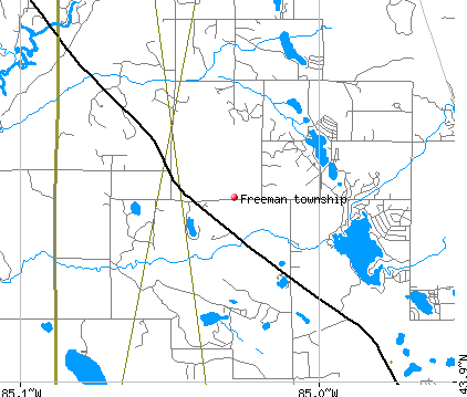 Freeman township, MI map