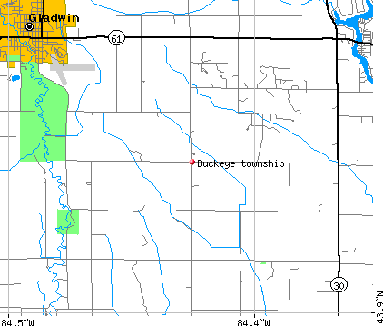 Buckeye township, MI map