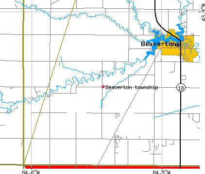 Beaverton township, MI map
