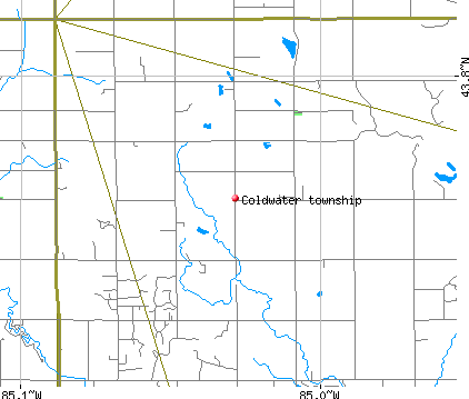 Coldwater township, MI map