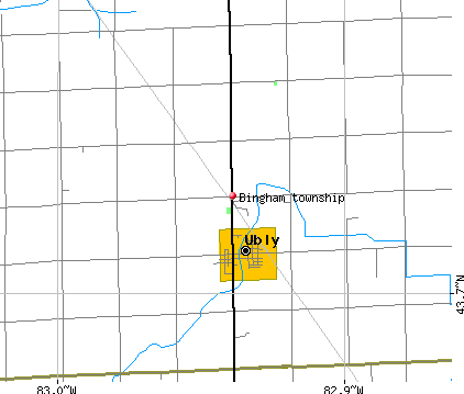 Bingham township, MI map
