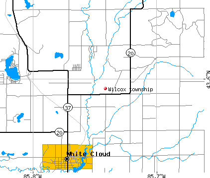Wilcox township, MI map