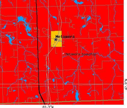 Metamora township, MI map