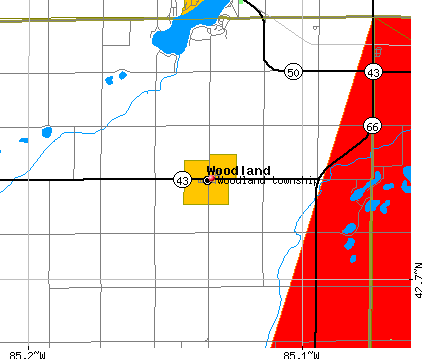Woodland township, MI map