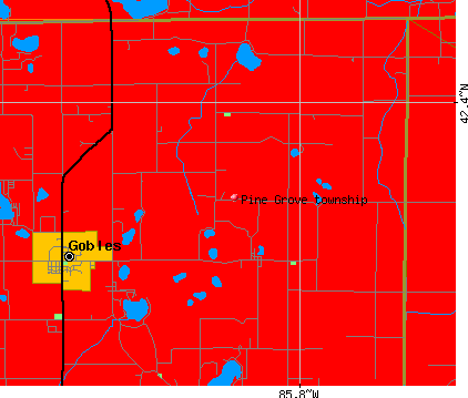 Pine Grove township, MI map